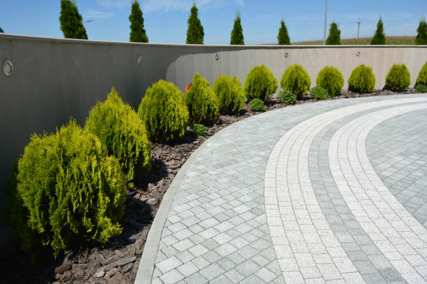 Best Paver Driveway Replacement  in Channahon, IL